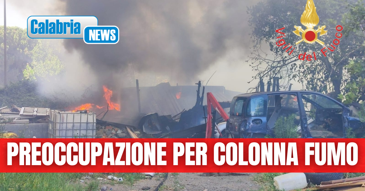 Lamezia, bidoni della spazzatura collocati a Ciampa di Cavallo - il